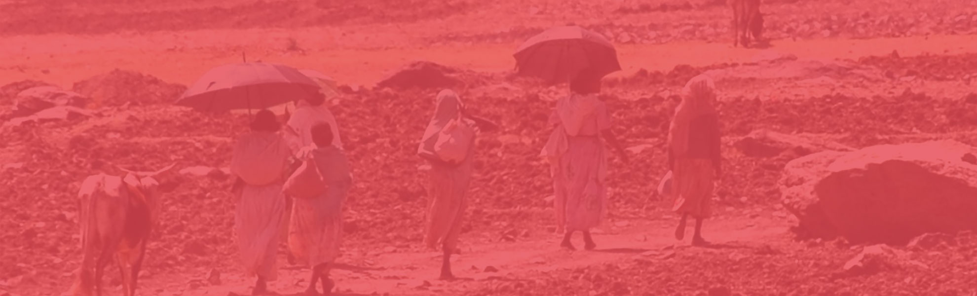 makeda-bright-africa_slider-background